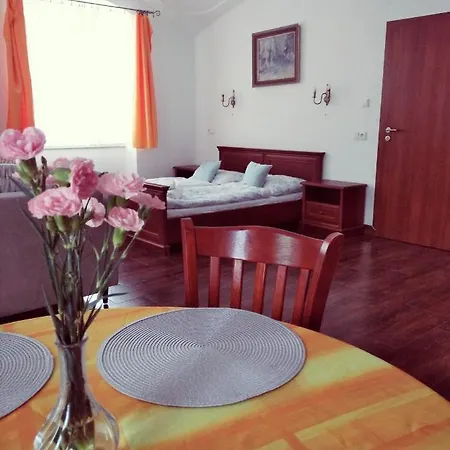 Dvur U Kaplicky Apartment Zdar Nad Sazavou Exterior photo