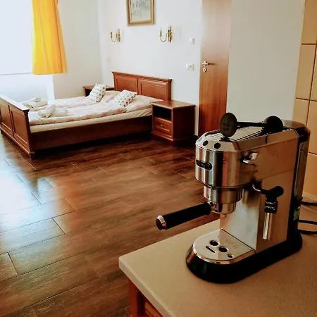 Dvur U Kaplicky Apartment Zdar Nad Sazavou Exterior photo