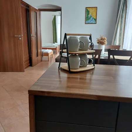 Dvur U Kaplicky Apartment Zdar Nad Sazavou Exterior photo