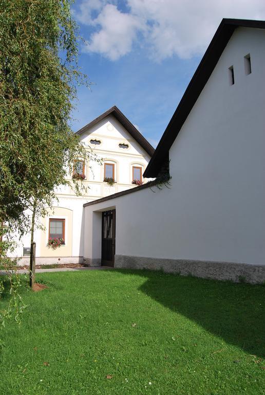 Dvur U Kaplicky Apartment *